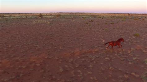 Pilbara Region Stock Video Footage - 4K and HD Video Clips | Shutterstock