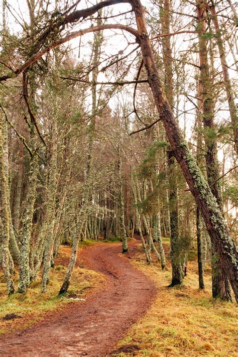 Top 5 Things To Do in Aviemore, Scotland • Addie Abroad