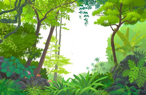 Amazon Rainforest Transparent Background Png Mart | Images and Photos finder