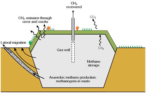 SCVNews.com | New Law: Landfills, Dairy Farms Must Cut Methane ...