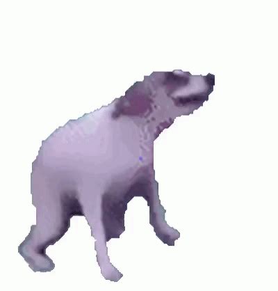 a blurry image of a dog on a white background