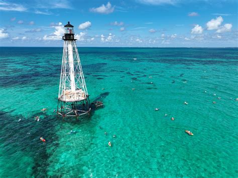 NEARLY 450 SWIMMERS COMPETE IN SWIM TO ICONIC ALLIGATOR LIGHTHOUSE IN ISLAMORADA, FLORIDA