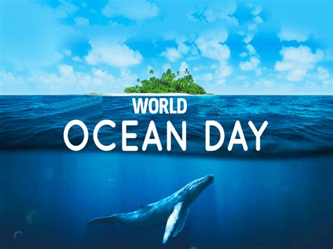 World Ocean Day 2024 Uk - Kare Sandra