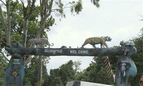 Bandipur Tiger Reserve And National Park (September 2023) Timings ...