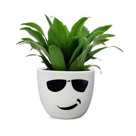 Ceramic Flower Pots For Indoor Plants, Mini Flower Pots (Plant Not Included) Plant Container Set ...