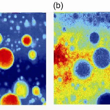 Chemical imaging of polystyrene (PS) and polyethylene terephthalate ...