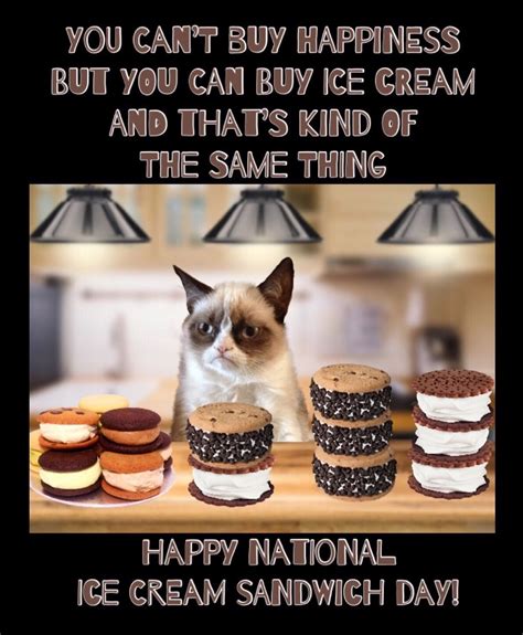 Grumpy Cat Loves National Ice Cream Sandwich Day! 🍦🍨 | Grumpy cat, Sandwich day, Ice cream sandwich