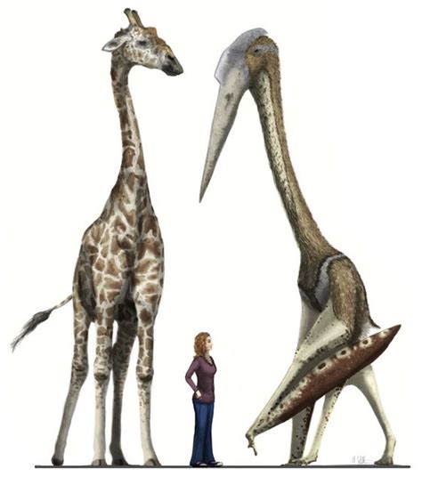 Species in news: Azhdarchid Pterosaurs - Civilsdaily