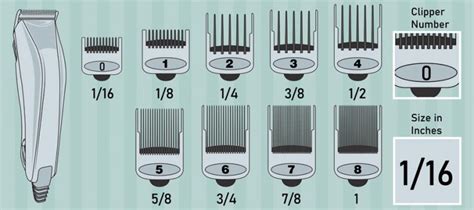 Hair Clippers Number Guide