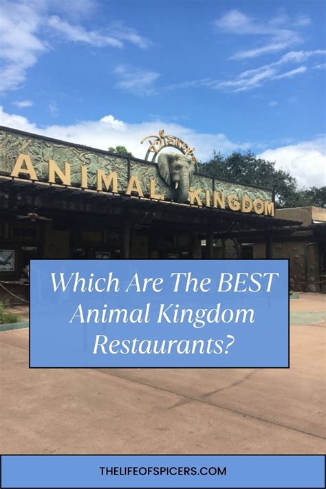 Best animal kingdom restaurants – Artofit
