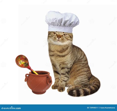 Cat cook in chef hat stock image. Image of spoon, humor - 73994011