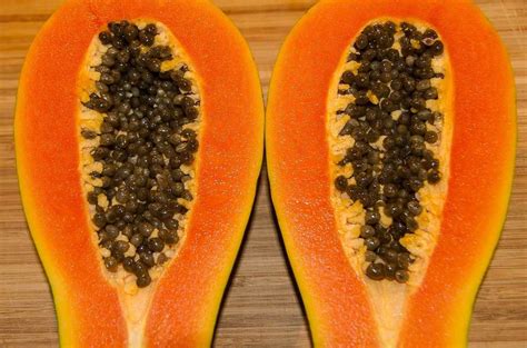 Papaya Seed Germination, Period, Temperature, Process | Agri Farming