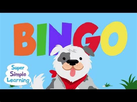 Bingo the Dog - Videos in Levels