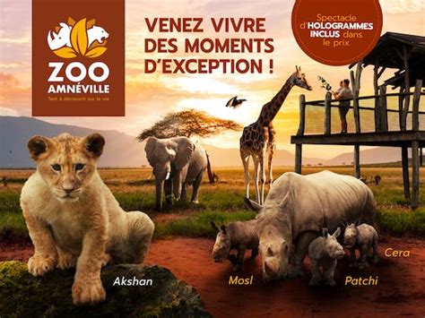 Zoo d'Amnéville Tours and Tickets | musement