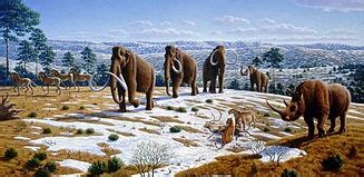 Quaternary extinction event - Wikipedia, the free encyclopedia | Wooly ...