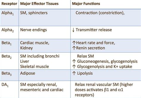 Characteristics of adrenergic receptors | Pharmacology nursing ...