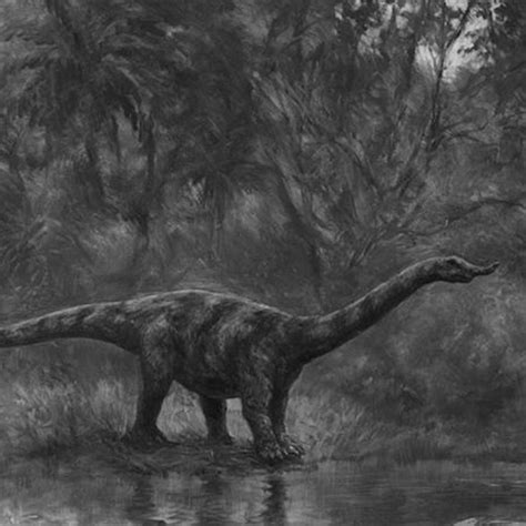 Episode 149: The Mokele-Mbembe: Myth or Monster?