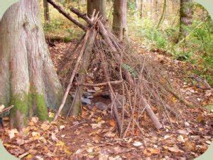 Basics of Wilderness Survival Shelters