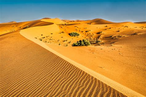 Curving Sand Dune Ridges #2 - Morocco Photograph by Stuart Litoff ...