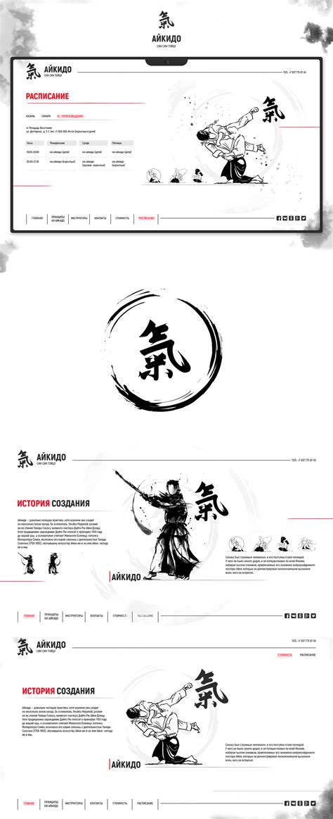 Aikido on Behance