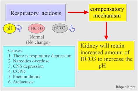 Acidosis Can Cause All Of The Following Except 97+ Pages Explanation ...