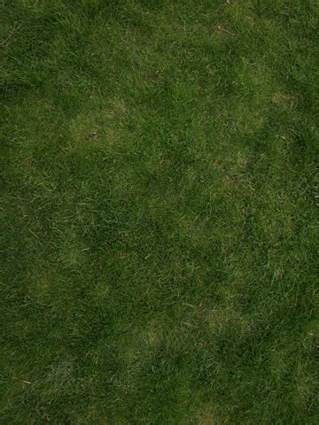 Photoshop Tutorial: How to create a tileable grass textures with the Pattern Filter