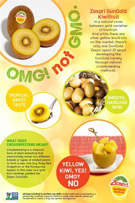 Fun fact: SunGold kiwifruit is non-GMO. Still confused? Check out this ...