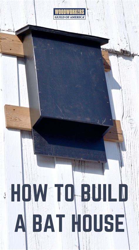 How to Build a Bat House | Build a bat house, Bat house plans, Bat ...