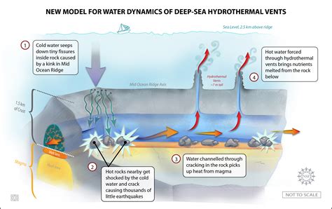 Quakes Under Pacific Floor Reveal Unexpected Circulatory System - The Earth Institute - Columbia ...