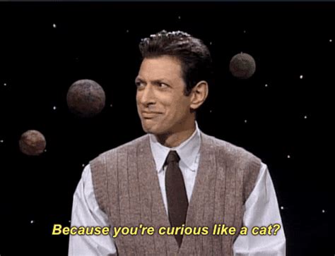 Jeff Goldblum Snl GIF by Saturday Night Live - Find & Share on GIPHY