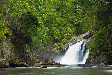 Crystal Cascades | Cairns, Australia Attractions - Lonely Planet