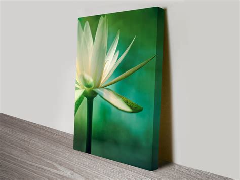 Lotus Flower Artwork on Canvas Prints Australia