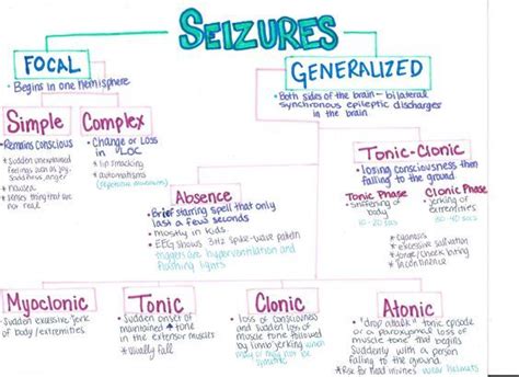 Types of Seizures | Pediatric nursing, Nursing school survival, Nursing school tips