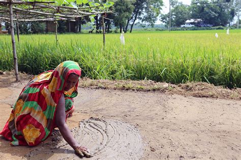 The Growth of Sustainable Agriculture in Bangladesh - The Borgen Project