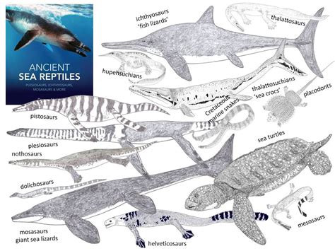 News from the World of Ancient Sea Reptiles — Tetrapod Zoology