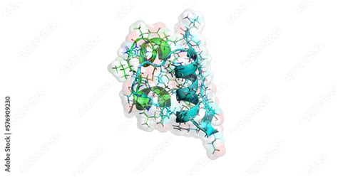 Insulin 3D protein molecule Stock Illustration | Adobe Stock