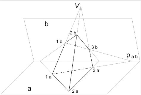 Perspective projection | Download Scientific Diagram