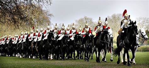 The British Enduring Love Affair With Irish Horses