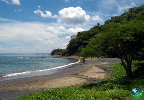 Playa Ocotal Costa Rica - Snorkeling and Scuba Diving Costa Rica