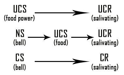 Classical Conditioning Diagram