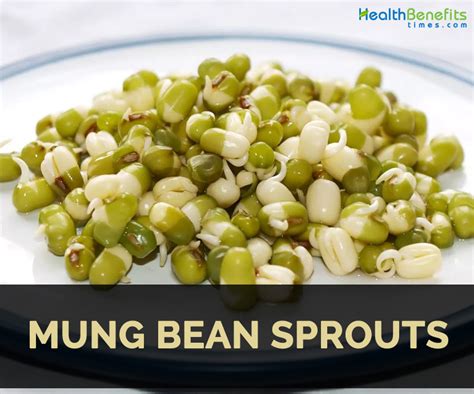 Mung Bean Sprouts Fact, Health Benefits & Nutritional Value