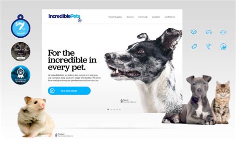 Incredible Pets on Behance