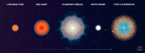 Visualizing the Origin of Elements | LaptrinhX