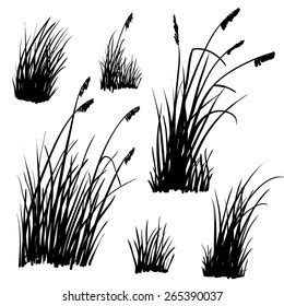 Set Hand Drawn Beach Grass Vector Stock Vector (Royalty Free) 265390037 ...