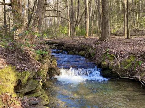 Best Kid Friendly Trails in Tellico Plains | AllTrails