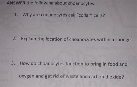 Solved ANSWER the following about choanocytes: 1. Why are | Chegg.com