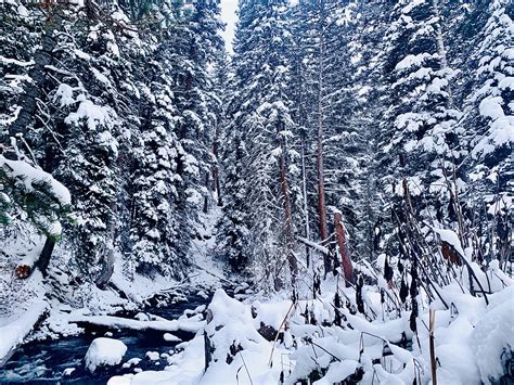 Pin by Marcia Allen on NATURE | Winter scenery, Rocky mountains, Snow ...