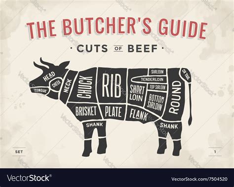 Cut of beef set poster butcher diagram and scheme Vector Image