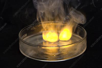 Sodium Reacting with Water - Stock Image - C027/9611 - Science Photo Library