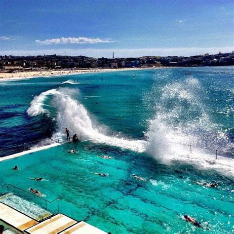 Bondi Icebergs | Australia photos, Vacation, Bondi beach